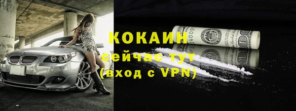 тгк Богородицк