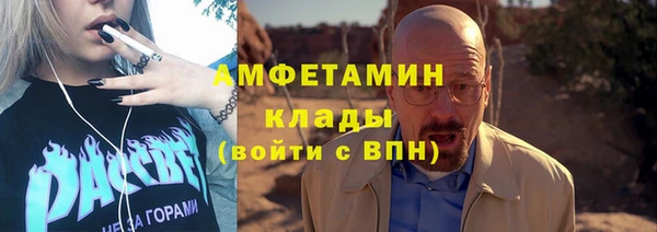 мдпв Богданович