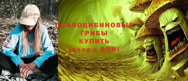 мдпв Богданович