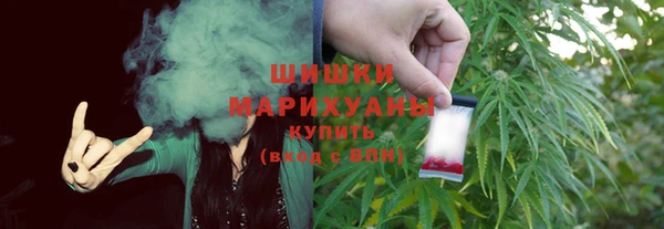 тгк Богородицк