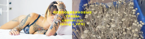 тгк Богородицк