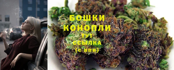 тгк Богородицк