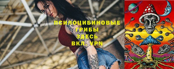 мдпв Богданович