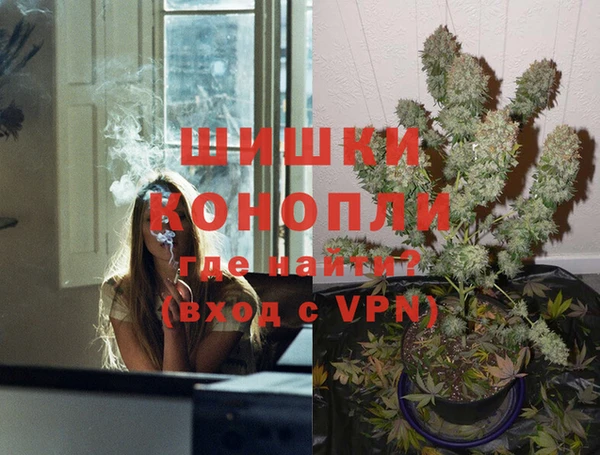 мдпв Богданович