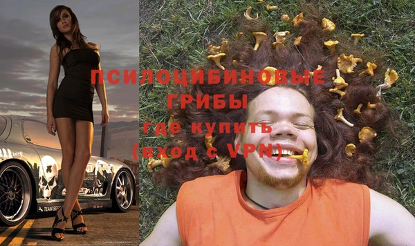 тгк Богородицк